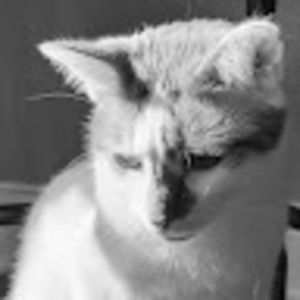 Meet your Posher, Zach